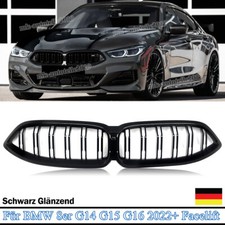 Sport Kühlergrill Doppelsteg