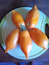 Buratino " Pinocchio orange "