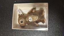 Steiff Club Geschenk Teddybär