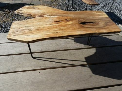 Couchtisch baumscheibe - couchtisch,