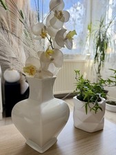 Fürstenberg Vase Porzellan