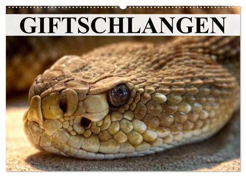 Giftschlangen wandkalender - giftschlangen, (wandkalender