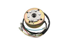 Lichtmaschine komplett Polrad