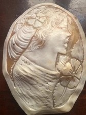 🔴 Kamee Groß Auf Muschel