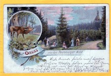 AK Litho Gruss aus dem Teutoburger Wald Detmold Hermannsdenkmal 1904 Lippe