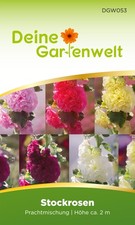 Stockrosen Prachtmischung Samen - Alcea rosea - Rosensamen - Blumensamen
