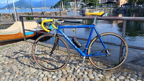 Rennrad storck scenario - rennrad, team