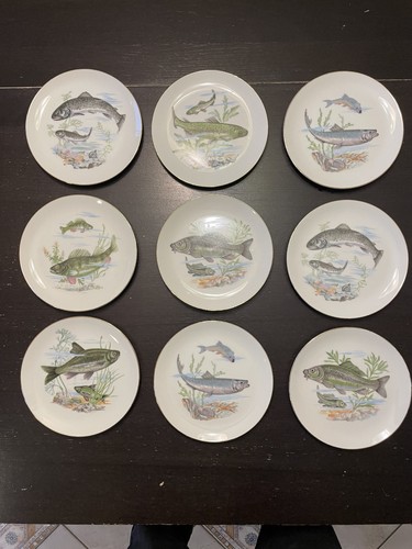 Fischteller japan cs sue - x,