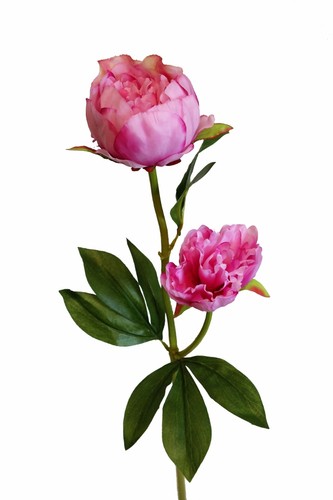 Künstliche pfingstrose rosa - künstliche,