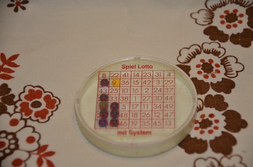 Spiel lotte mit systerm - lotte,