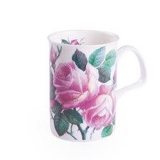 Becher Lancaster hell English