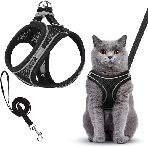 Atmungsaktiv katzen geschirr - katzen,