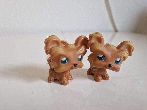 Lps littlest pet shop - littlest, shih