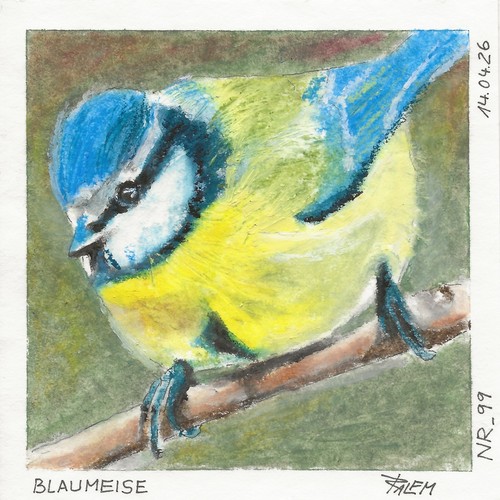 Vogel ölpastell - vogel,
