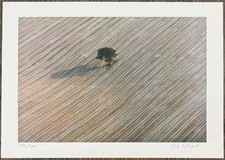 Gisela floto baum winter - floto,,