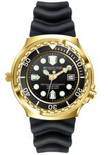 Riedenschild Kampfschwimmer