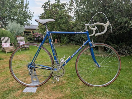 Gazelle champion reynolds - champion,
