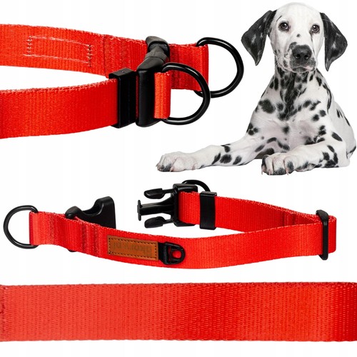 Halsband mit doppelverschluss - halsband,