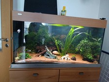 Aquarium Komplett mit Zubehör und Pumpe Und Besatz von  Aqualux