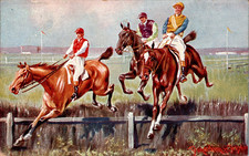 AK SPORT PFERDE RENNEN