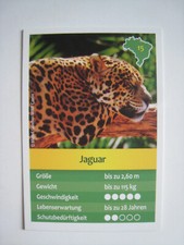 Entdecke Brasilien -