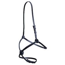 Euroriding Mexikanisches Reithalfter "El Paso" in 2 Farben