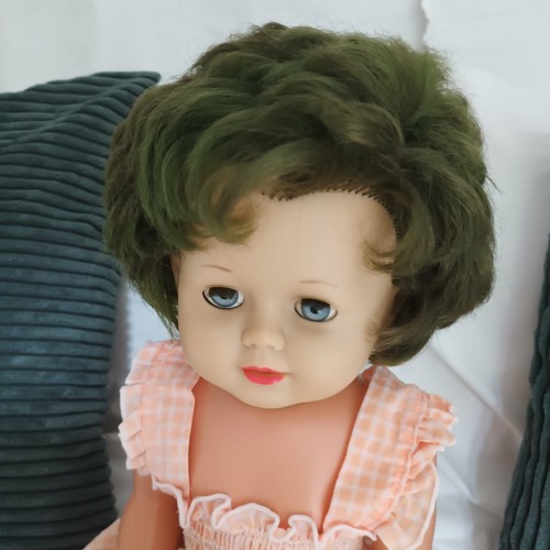 Große vintage schildkröt - vintage,