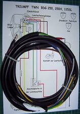 Kabelbaum für Triumph  BDG 250, 250 H, 125 SL, Kabelsatz
