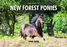 The spirit new forest - of,