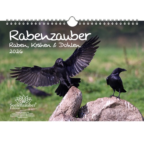 Rabenzauber raben krähen - rabenzauber, und