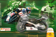 Sternquell Motorrad Aprilia RSW 125 ccm Modell Motorsport Schumann Reisen