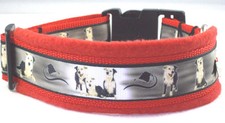 Hundehalsband Border Collie, M