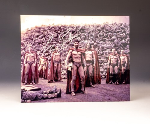 Gerard butler king leonidas - butler,