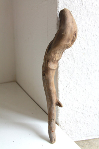 Schwemmholz treibholz - schwemmholz,
