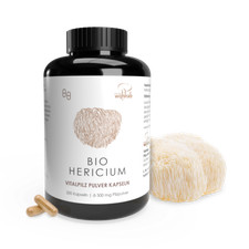 Pilze Wohlrab | BIO Hericium