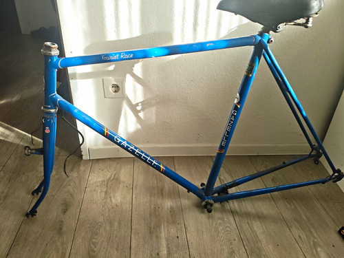 Gazelle tourist race - gazelle,