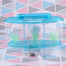  Aufzuchtkasten Aquarium