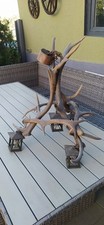 Geweihlampe
