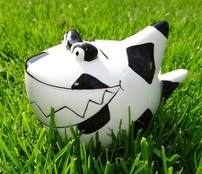 KCG "Sparhai Fußball-Hai"13