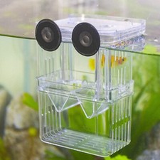 Einfache Fischausbildung –