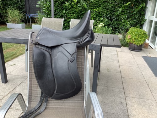 Equine saddlefit fällt - saddlefit,
