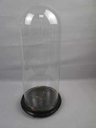 Glasdom stolp mit - glasdom,