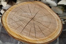 Kirschholz Kirschholzstamm # 52-57 cm hoch # Drechselholz Drechseln Kirschbaum 5