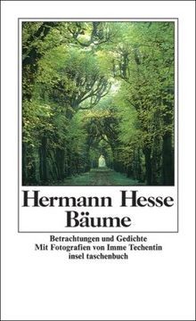 Bäume betrachtungen und - -,