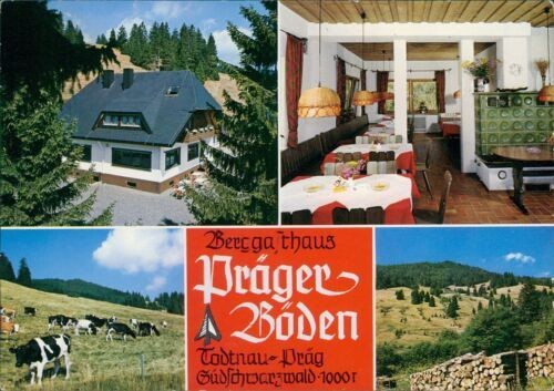 Ansichtskarte todtnau präg - todtnau,