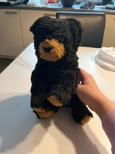 Alter schwarz/brauner Bär