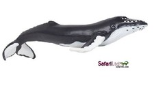 Safari ltd 202029 buckelwal - safari,
