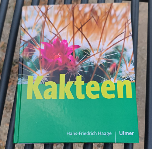Ulmer kakteen - ulmer:,