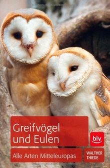 Greifvögel und eulen - greifvögel, alle