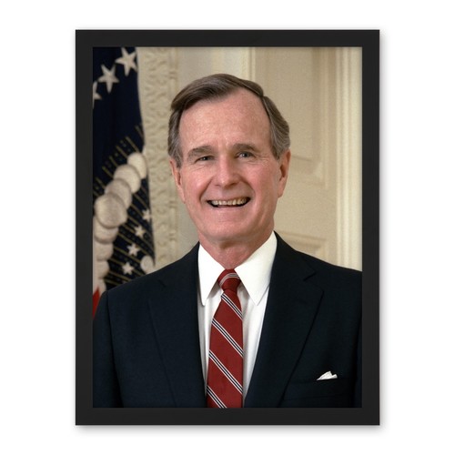 President george w bush - us,